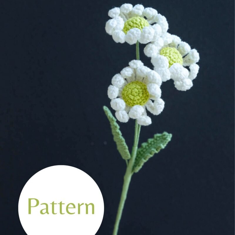 Field Daisy #19